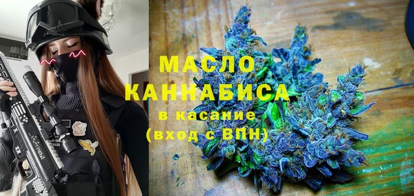 мдпв Богородск