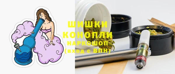 сатива Богородицк