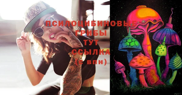 марки lsd Богданович
