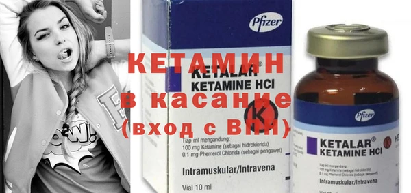 сатива Богородицк