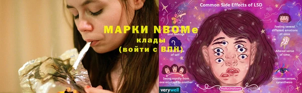 мдпв Богородск